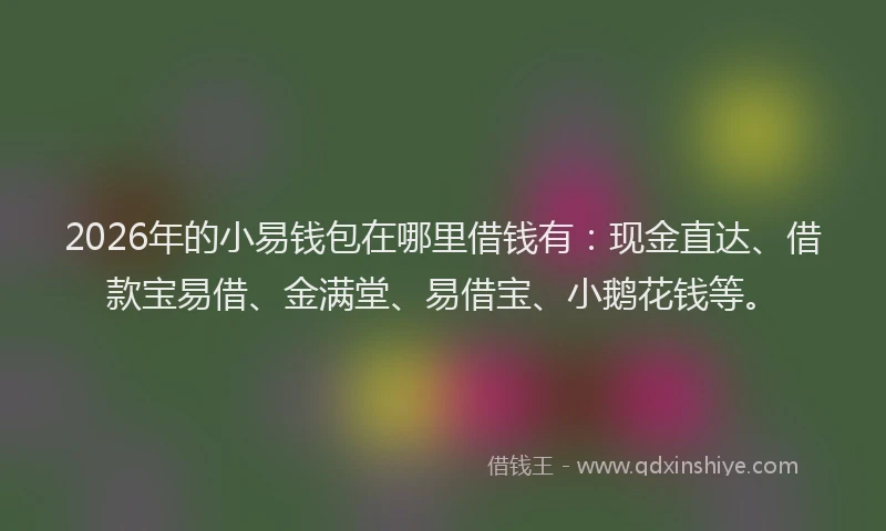 2026年的小易钱包在哪里借钱有：现金直达、借款宝易借、金满堂、易借宝、小鹅花钱等。