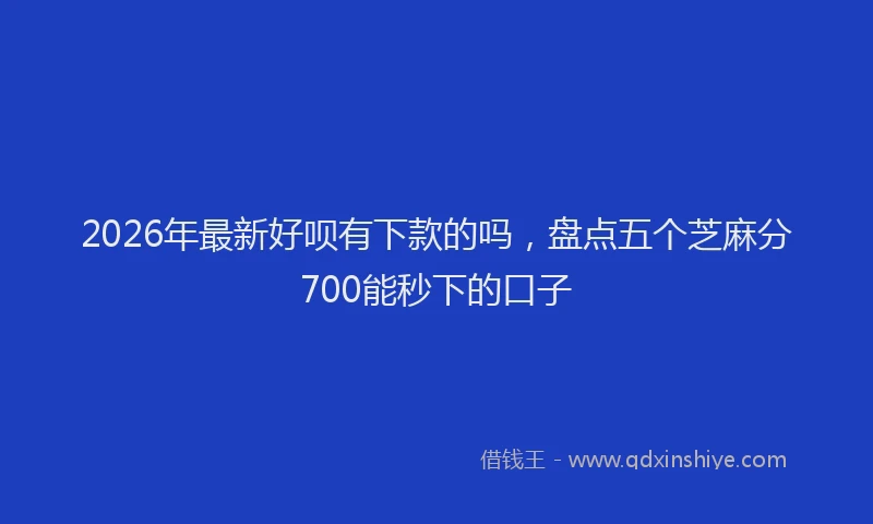 2026年最新好呗有下款的吗，盘点五个芝麻分700能秒下的口子