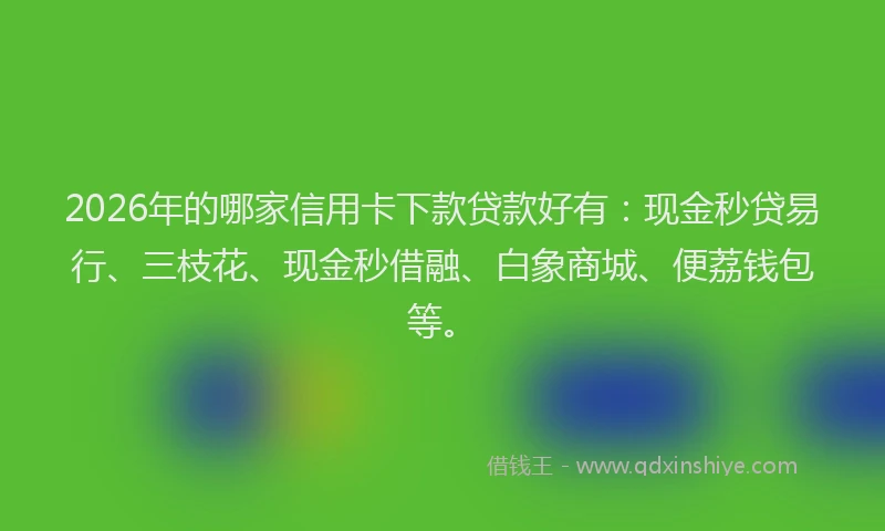 2026年的哪家信用卡下款贷款好有:现金秒贷易行、三枝花、现金秒借融、白象商城、便荔钱包等。