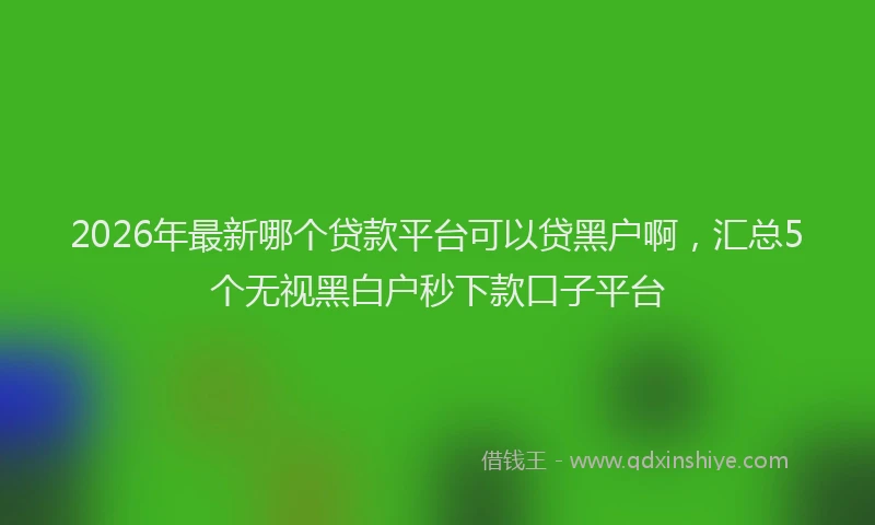 2026年最新哪个贷款平台可以贷黑户啊,汇总5个无视黑白户秒下款口子平台