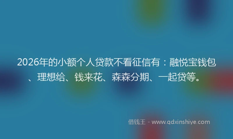 2026年的小额个人贷款不看征信有：融悦宝钱包、理想给、钱来花、森森分期、一起贷等。