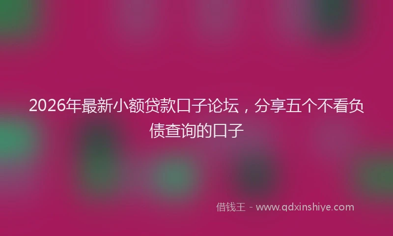 2026年最新小额贷款口子论坛，分享五个不看负债查询的口子