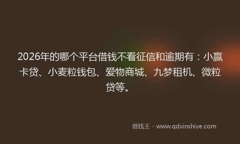 2026年的哪个平台借钱不看征信和逾期有:小赢卡贷、小麦粒钱包、爱物商城、九梦租机、微粒贷等。