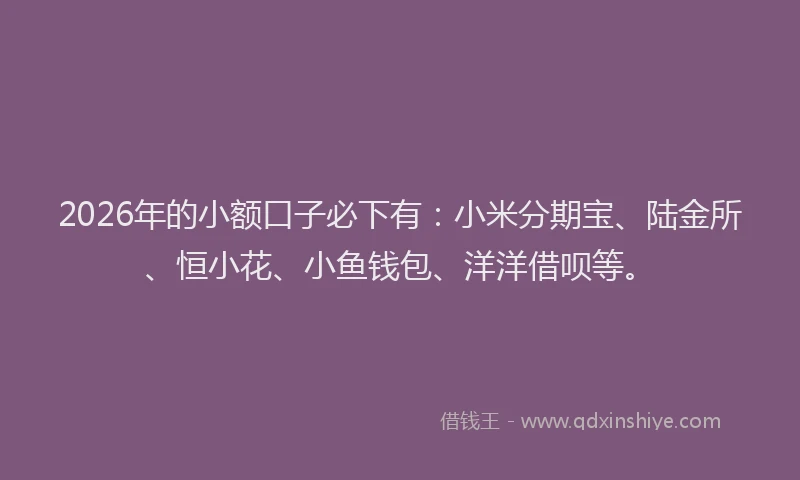 2026年的小额口子必下有:小米分期宝、陆金所、恒小花、小鱼钱包、洋洋借呗等。