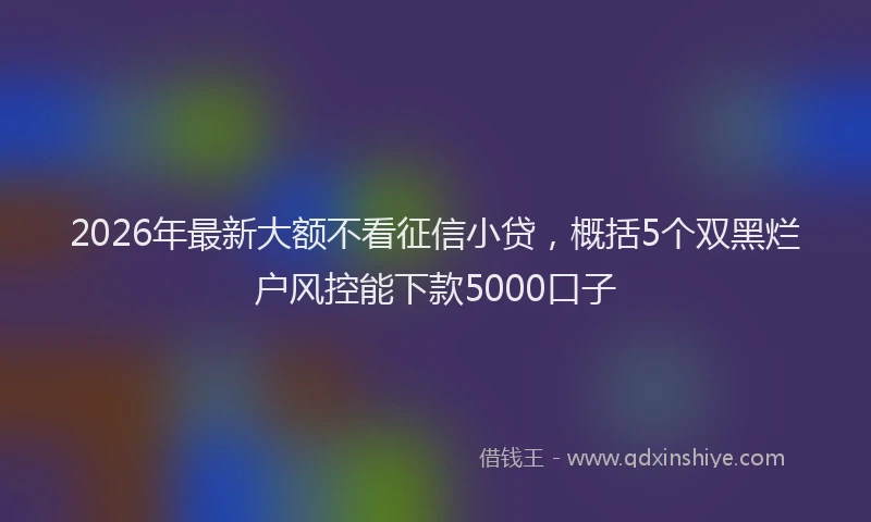 2026年最新大额不看征信小贷，概括5个双黑烂户风控能下款5000口子