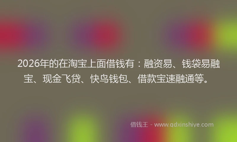 2026年的在淘宝上面借钱有:融资易、钱袋易融宝、现金飞贷、快鸟钱包、借款宝速融通等。