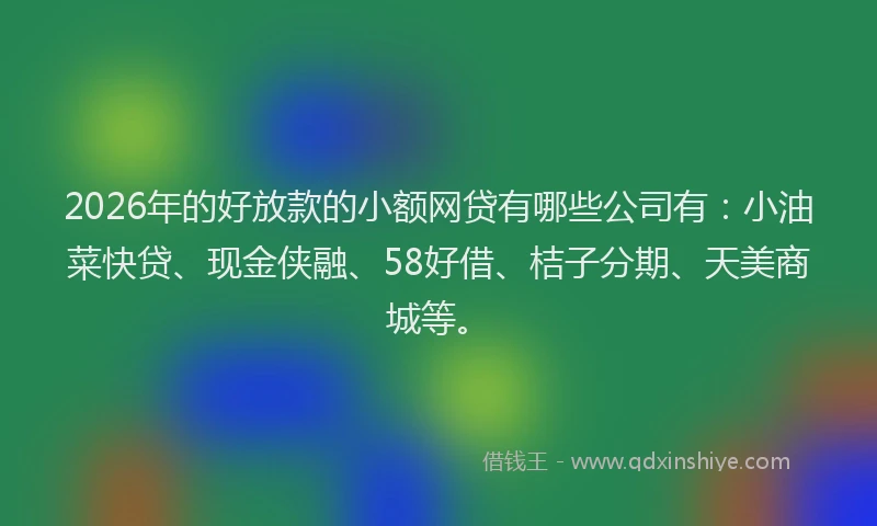 2026年的好放款的小额网贷有哪些公司有：小油菜快贷、现金侠融、58好借、桔子分期、天美商城等。