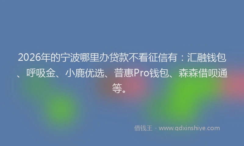 2026年的宁波哪里办贷款不看征信有：汇融钱包、呼吸金、小鹿优选、普惠Pro钱包、森森借呗通等。