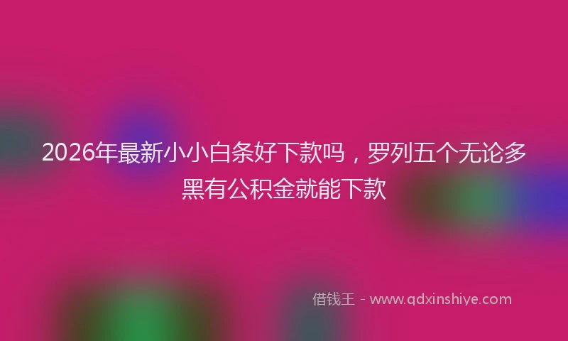 2026年最新小小白条好下款吗，罗列五个无论多黑有公积金就能下款