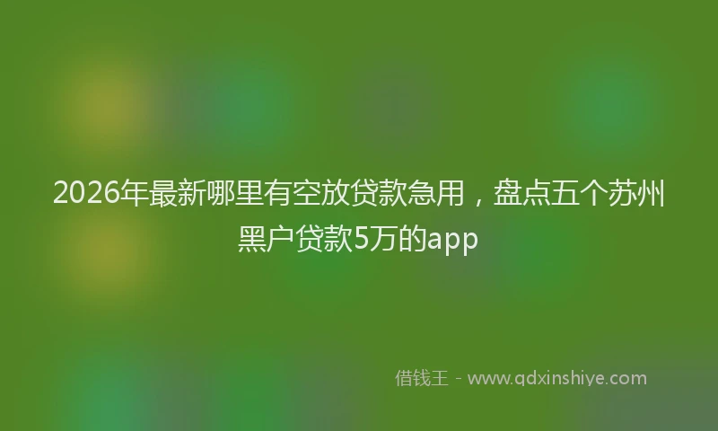 2026年最新哪里有空放贷款急用,盘点五个苏州黑户贷款5万的app
