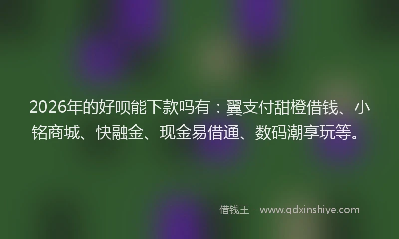 2026年的好呗能下款吗有：翼支付甜橙借钱、小铭商城、快融金、现金易借通、数码潮享玩等。