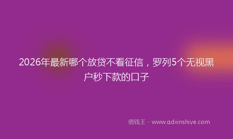 2026年最新哪个放贷不看征信，罗列5个无视黑户秒下款的口子