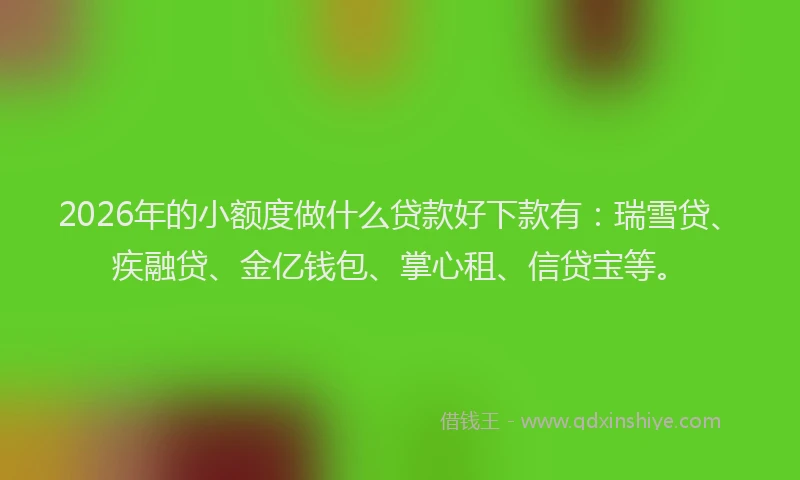 2026年的小额度做什么贷款好下款有：瑞雪贷、疾融贷、金亿钱包、掌心租、信贷宝等。