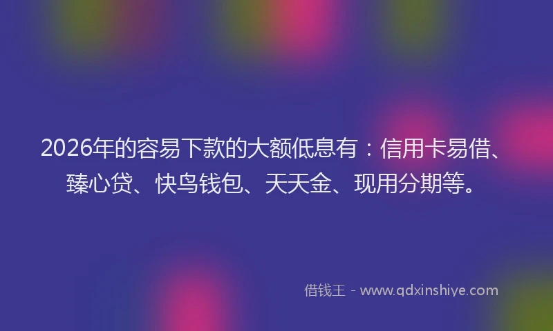 2026年的容易下款的大额低息有：信用卡易借、臻心贷、快鸟钱包、天天金、现用分期等。