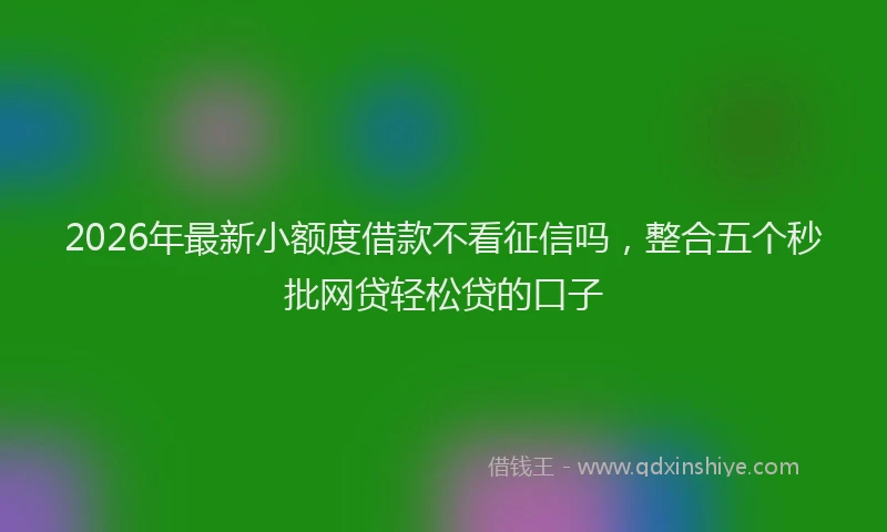 2026年最新小额度借款不看征信吗，整合五个秒批网贷轻松贷的口子