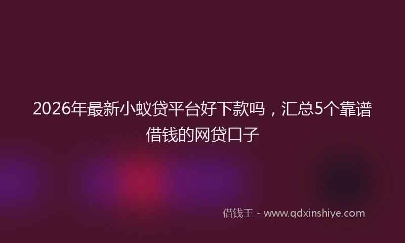 2026年最新小蚁贷平台好下款吗，汇总5个靠谱借钱的网贷口子