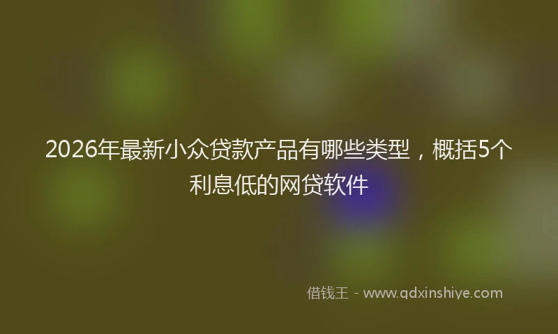 2026年最新小众贷款产品有哪些类型，概括5个利息低的网贷软件