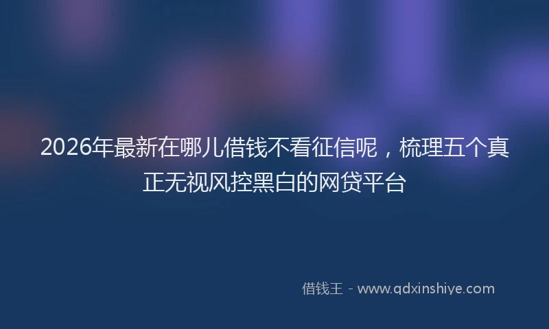 2026年最新在哪儿借钱不看征信呢，梳理五个真正无视风控黑白的网贷平台