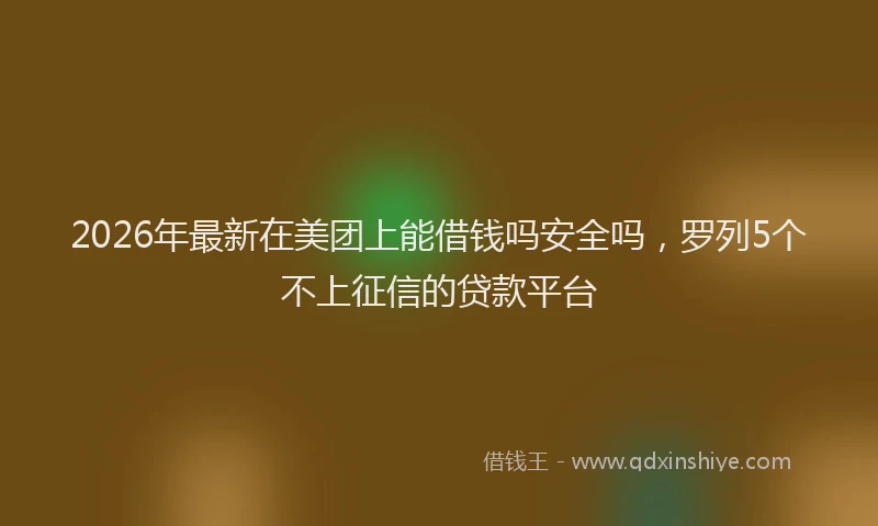 2026年最新在美团上能借钱吗安全吗，罗列5个不上征信的贷款平台