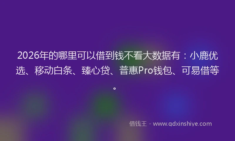 2026年的哪里可以借到钱不看大数据有：小鹿优选、移动白条、臻心贷、普惠Pro钱包、可易借等。