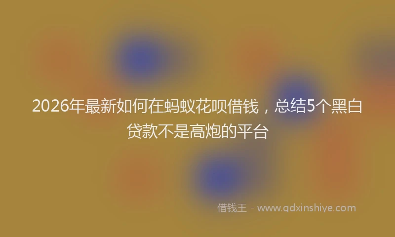 2026年最新如何在蚂蚁花呗借钱，总结5个黑白贷款不是高炮的平台