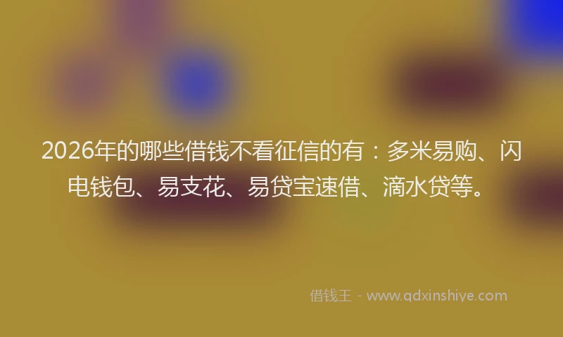 2026年的哪些借钱不看征信的有:多米易购、闪电钱包、易支花、易贷宝速借、滴水贷等。