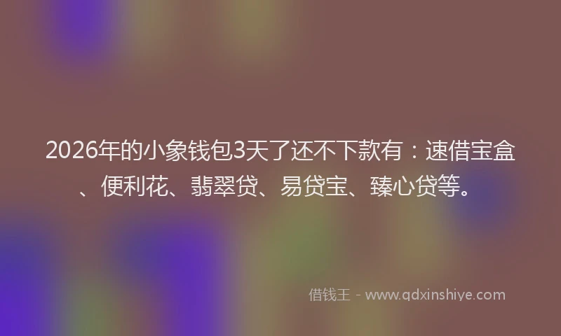 2026年的小象钱包3天了还不下款有：速借宝盒、便利花、翡翠贷、易贷宝、臻心贷等。