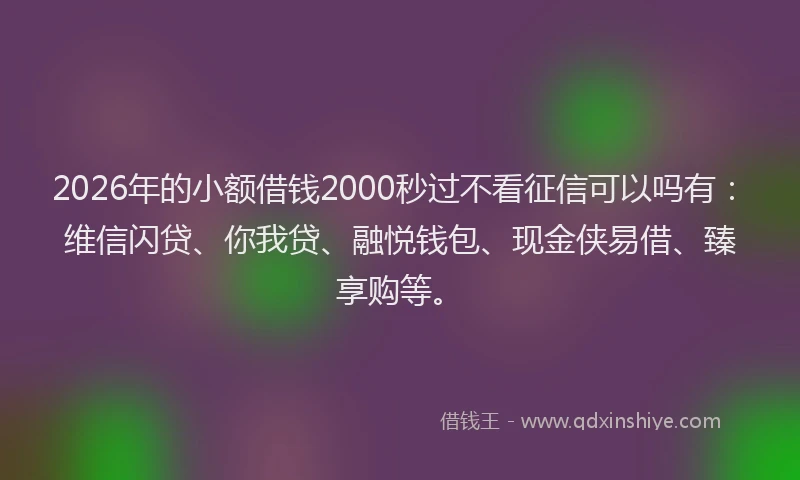 2026年的小额借钱2000秒过不看征信可以吗有：维信闪贷、你我贷、融悦钱包、现金侠易借、臻享购等。