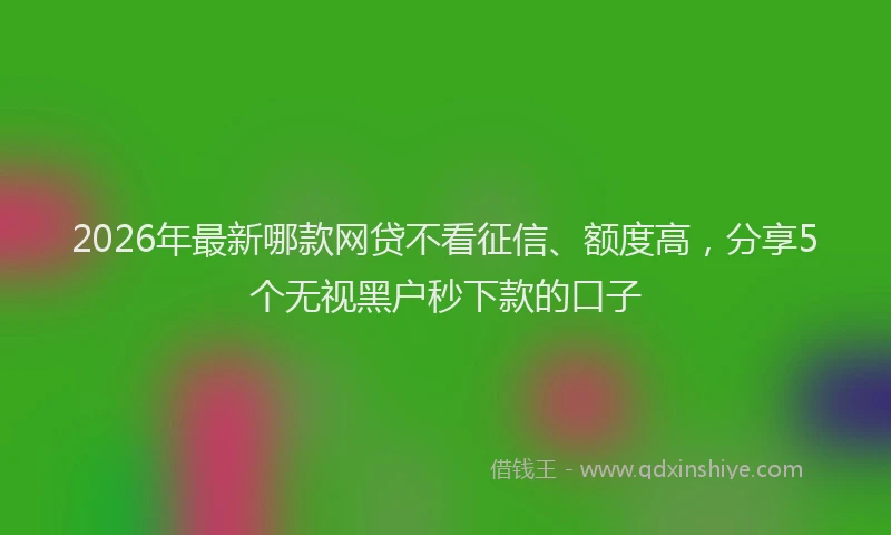 2026年最新哪款网贷不看征信、额度高，分享5个无视黑户秒下款的口子