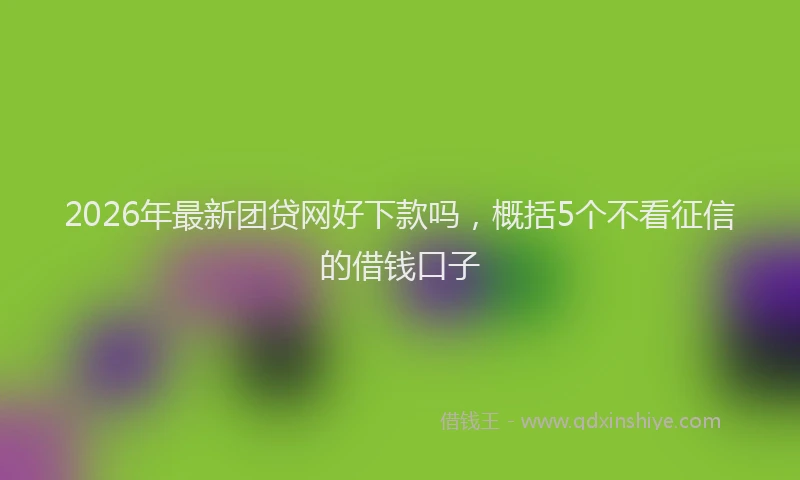 2026年最新团贷网好下款吗,概括5个不看征信的借钱口子