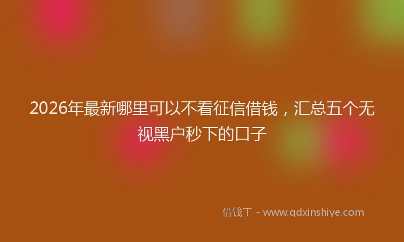2026年最新哪里可以不看征信借钱，汇总五个无视黑户秒下的口子