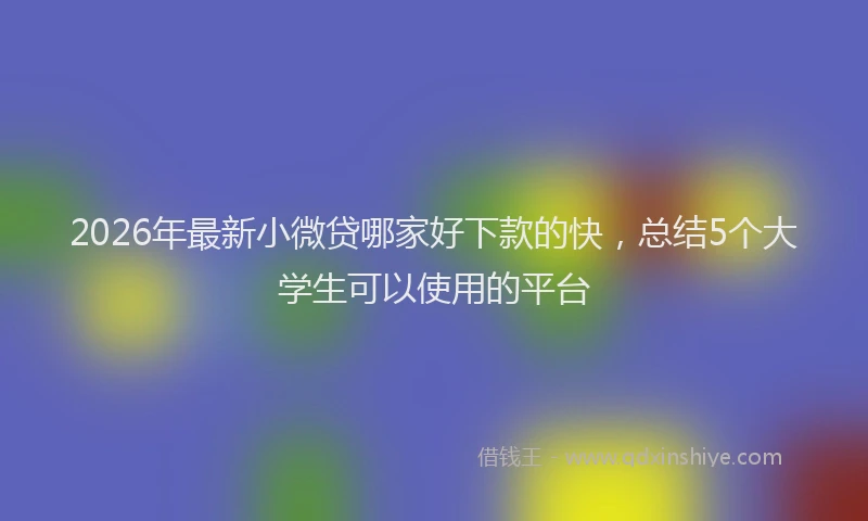 2026年最新小微贷哪家好下款的快，总结5个大学生可以使用的平台