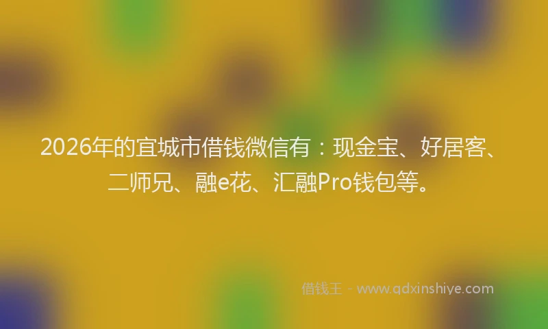 2026年的宜城市借钱微信有：现金宝、好居客、二师兄、融e花、汇融Pro钱包等。