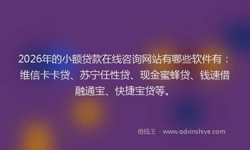 2026年的小额贷款在线咨询网站有哪些软件有：维信卡卡贷、苏宁任性贷、现金蜜蜂贷、钱速借融通宝、快捷宝贷等。