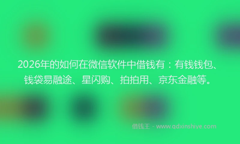 2026年的如何在微信软件中借钱有：有钱钱包、钱袋易融途、星闪购、拍拍用、京东金融等。