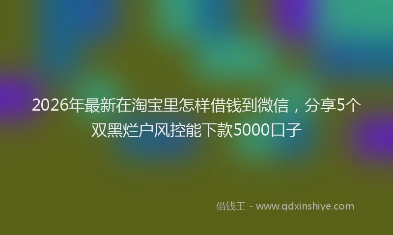 2026年最新在淘宝里怎样借钱到微信，分享5个双黑烂户风控能下款5000口子