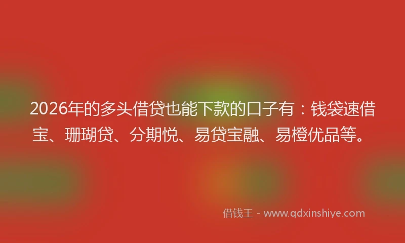 2026年的多头借贷也能下款的口子有：钱袋速借宝、珊瑚贷、分期悦、易贷宝融、易橙优品等。