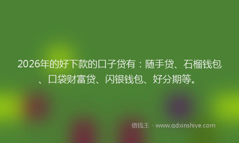 2026年的好下款的口子贷有：随手贷、石榴钱包、口袋财富贷、闪银钱包、好分期等。