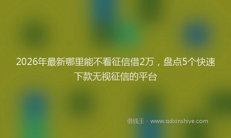 2026年最新哪里能不看征信借2万,盘点5个快速下款无视征信的平台