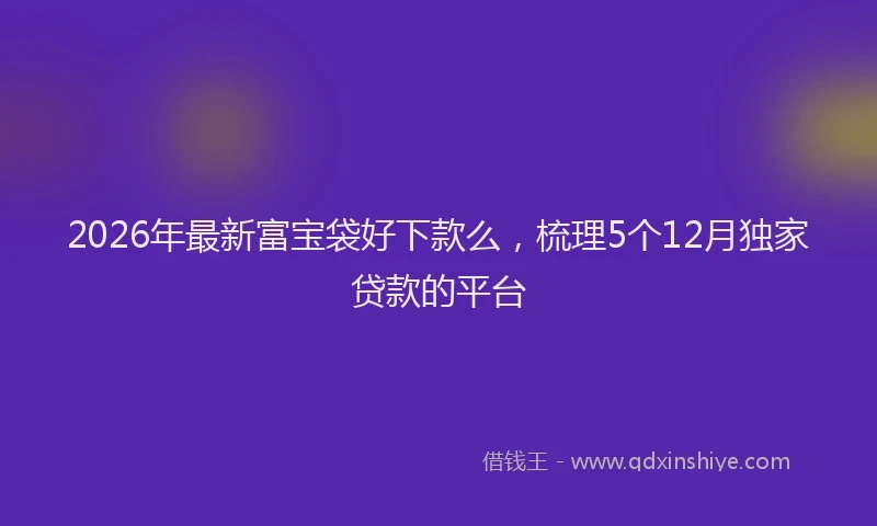 2026年最新富宝袋好下款么，梳理5个12月独家贷款的平台