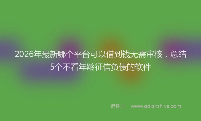 2026年最新哪个平台可以借到钱无需审核,总结5个不看年龄征信负债的软件