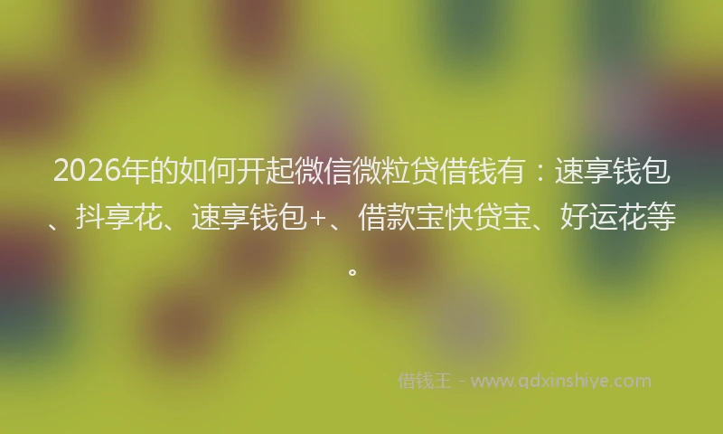 2026年的如何开起微信微粒贷借钱有：速享钱包、抖享花、速享钱包+、借款宝快贷宝、好运花等。