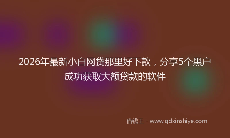 2026年最新小白网贷那里好下款，分享5个黑户成功获取大额贷款的软件