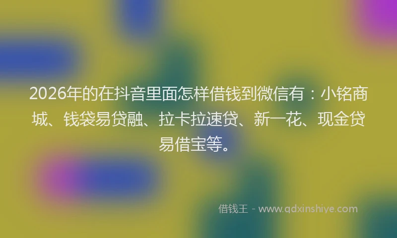 2026年的在抖音里面怎样借钱到微信有:小铭商城、钱袋易贷融、拉卡拉速贷、新一花、现金贷易借宝等。