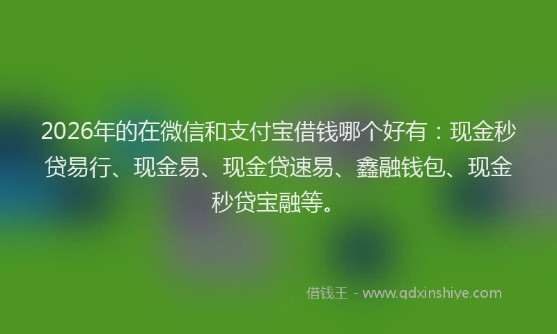 2026年的在微信和支付宝借钱哪个好有：现金秒贷易行、现金易、现金贷速易、鑫融钱包、现金秒贷宝融等。