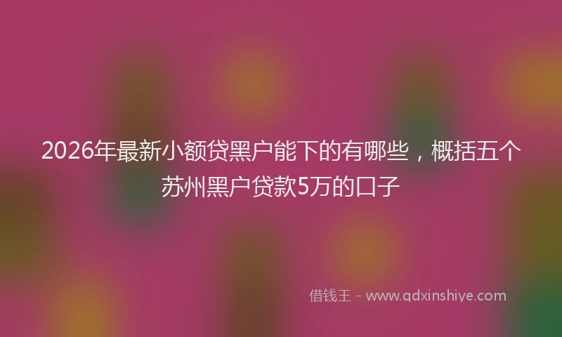 2026年最新小额贷黑户能下的有哪些，概括五个苏州黑户贷款5万的口子