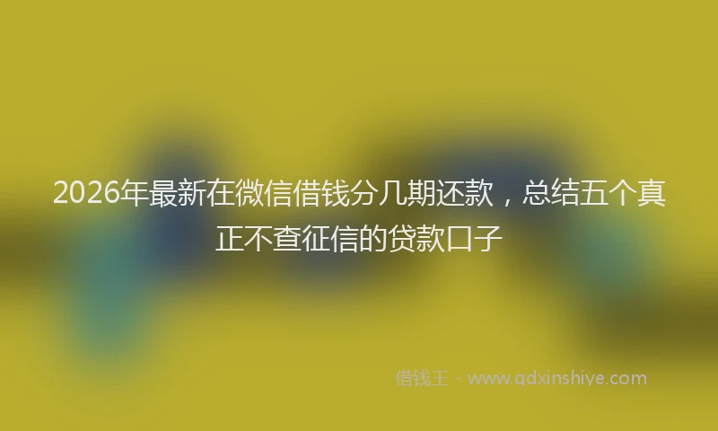 2026年最新在微信借钱分几期还款,总结五个真正不查征信的贷款口子