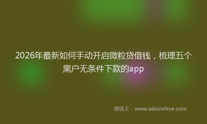 2026年最新如何手动开启微粒贷借钱，梳理五个黑户无条件下款的app