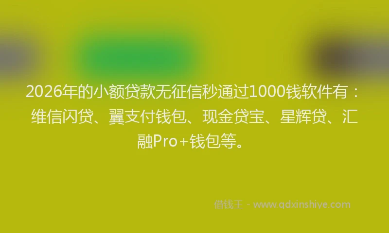 2026年的小额贷款无征信秒通过1000钱软件有：维信闪贷、翼支付钱包、现金贷宝、星辉贷、汇融Pro+钱包等。