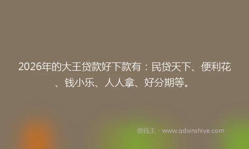 2026年的大王贷款好下款有：民贷天下、便利花、钱小乐、人人拿、好分期等。